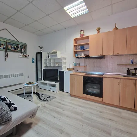 Veki Apartamento Novigrad Istria